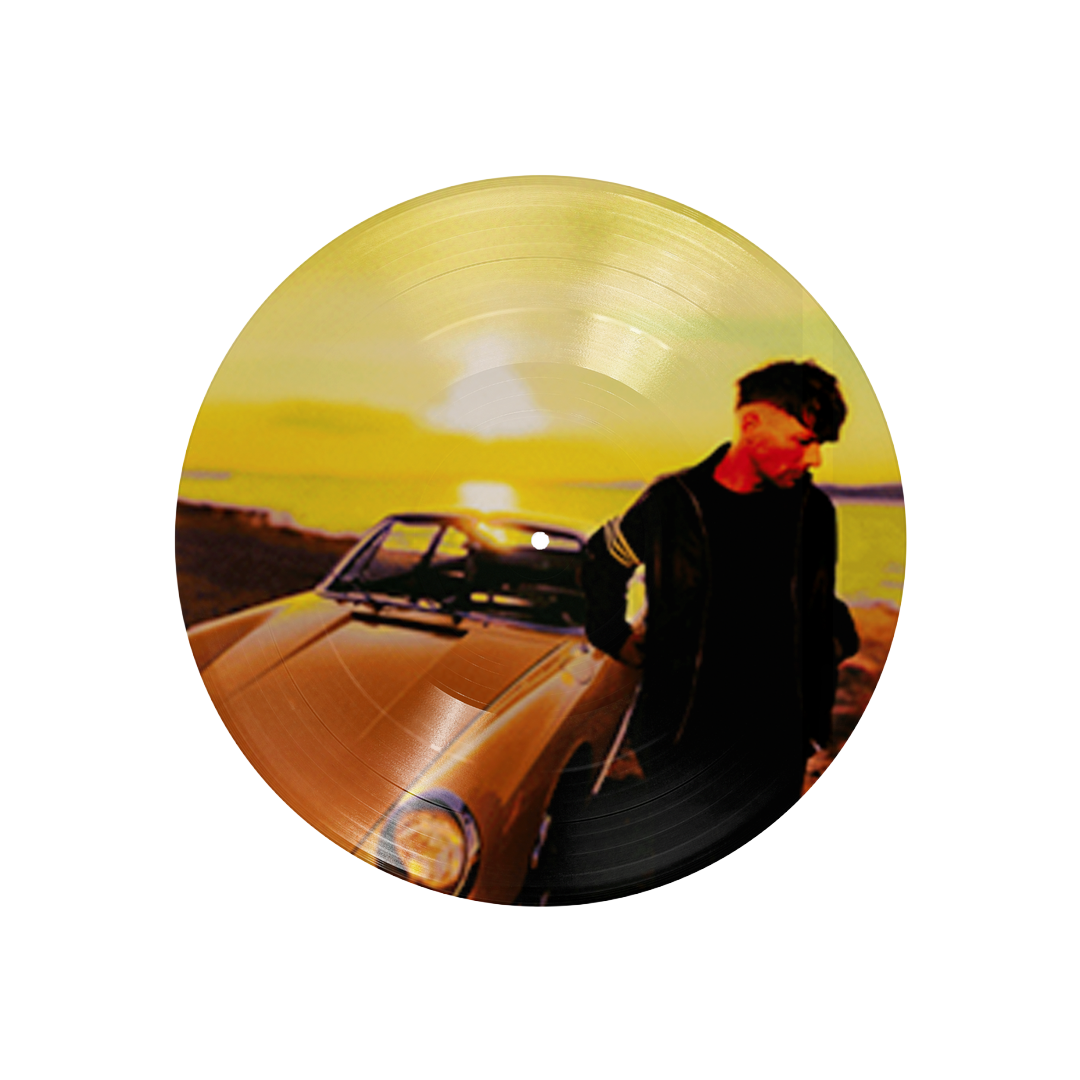 How Did I Get Here? Picture Disc