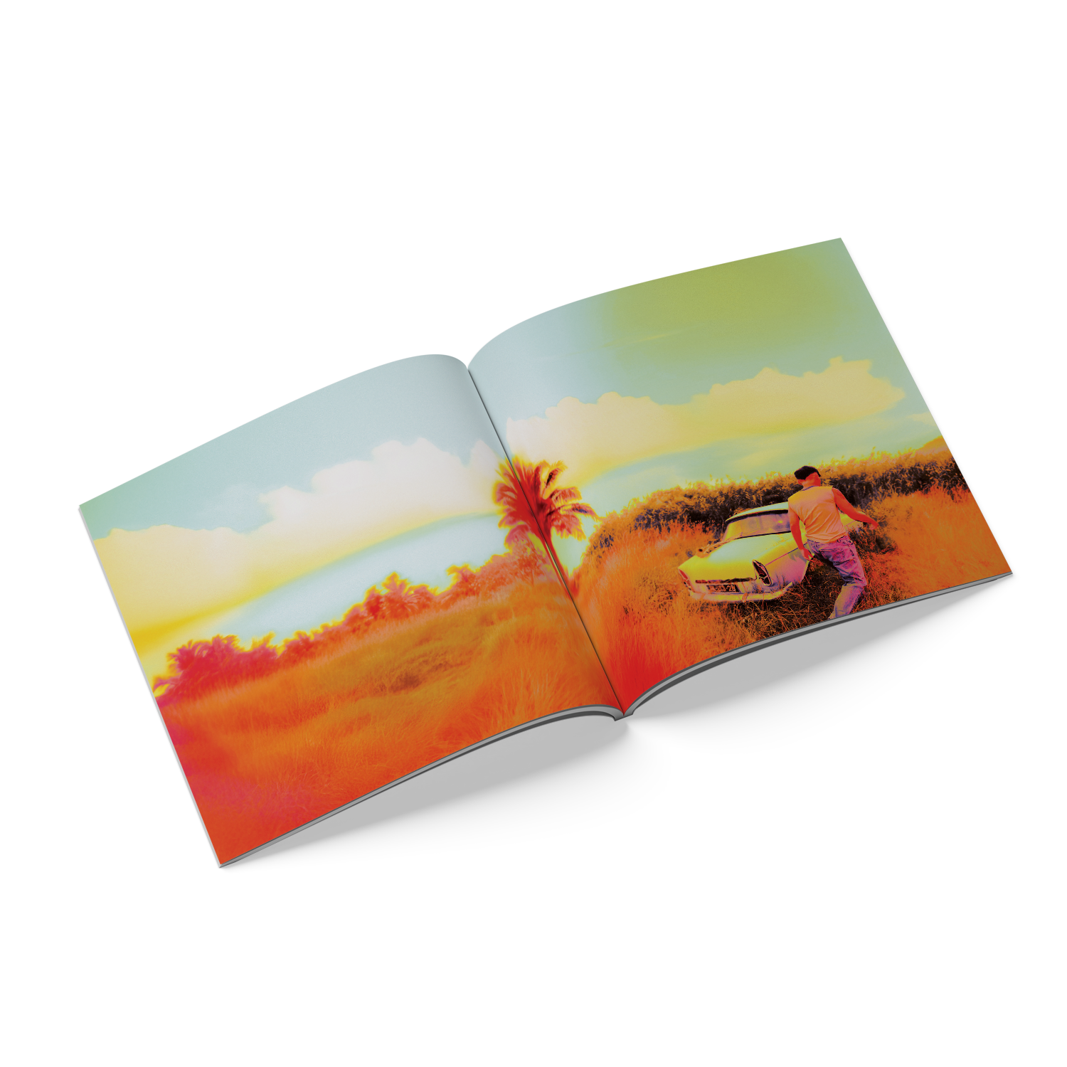 How Did I Get Here? Alternate Cover CD